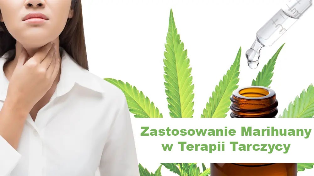 Zastosowanie Marihuany w Terapii Tarczycy, GazetaKonopna